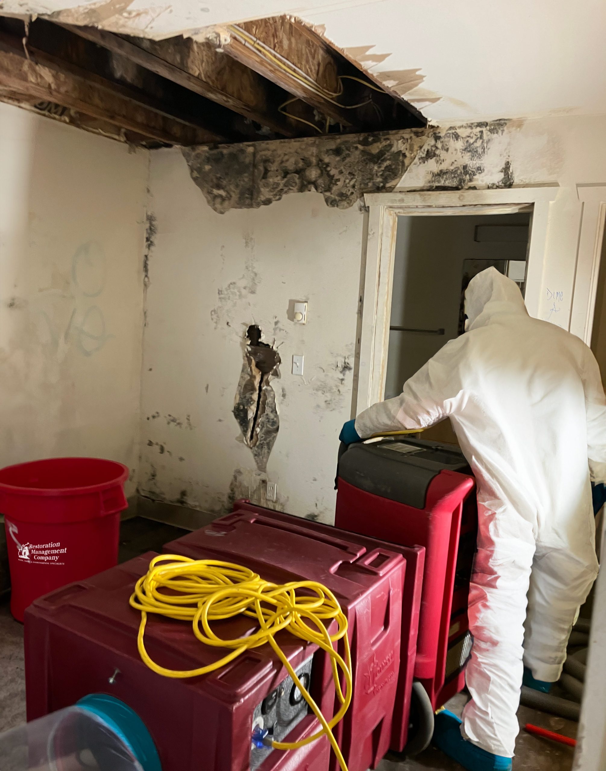 Mold-Remediation-right-img