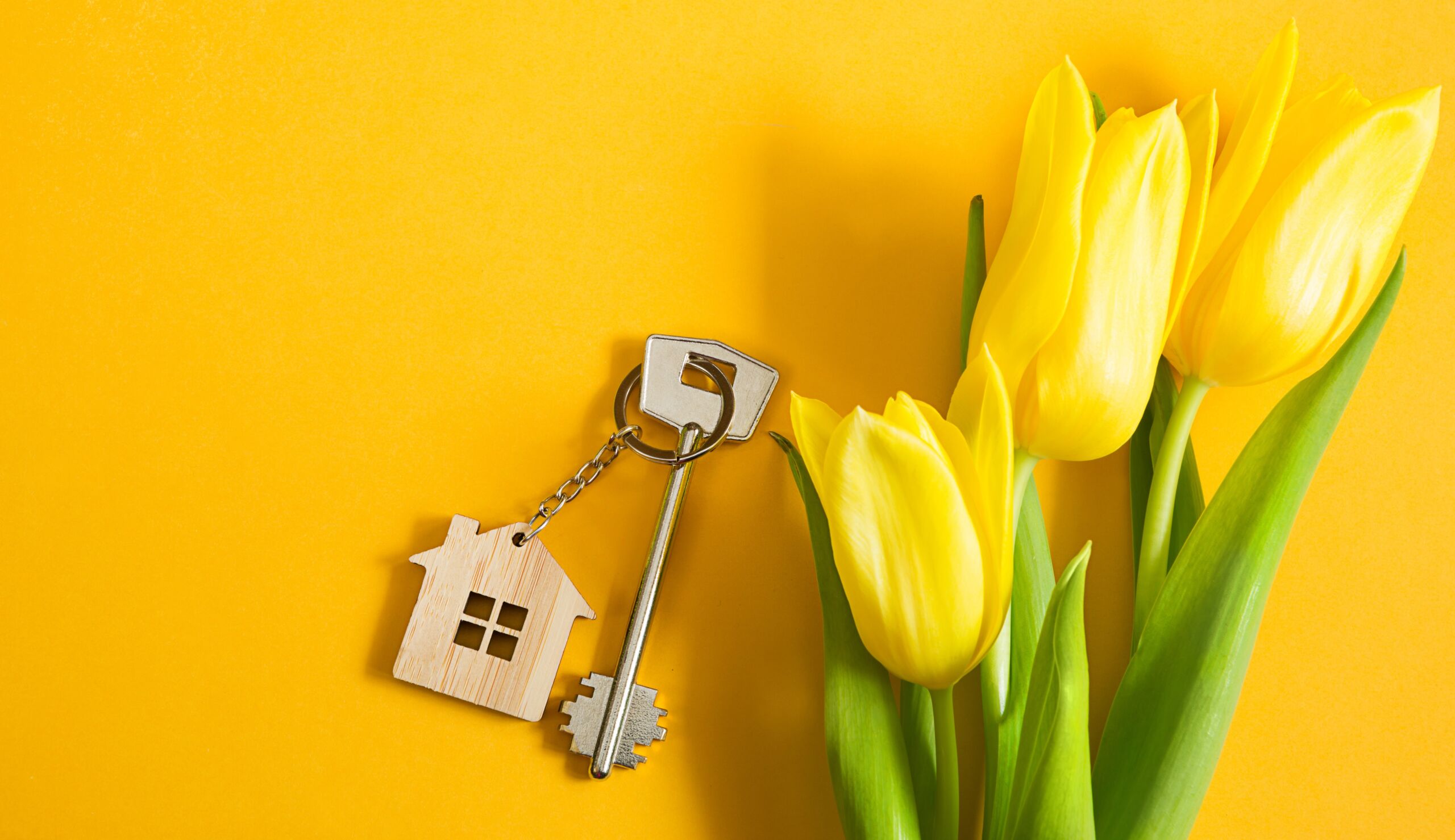 Spring Maintenance for Property Managers